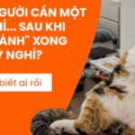 KLOOK KHỞI ĐỘNG CHIẾN DỊCH TOÀN CẦU TÔN VINH NHỮNG “NGƯỜI LÊN KẾ HOẠCH DU LỊCH”